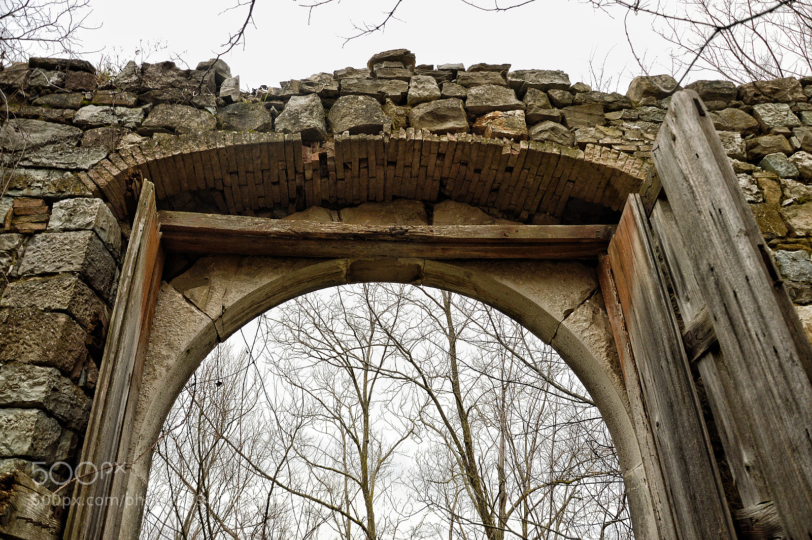 Nikon D3200 sample photo. Untitled photography