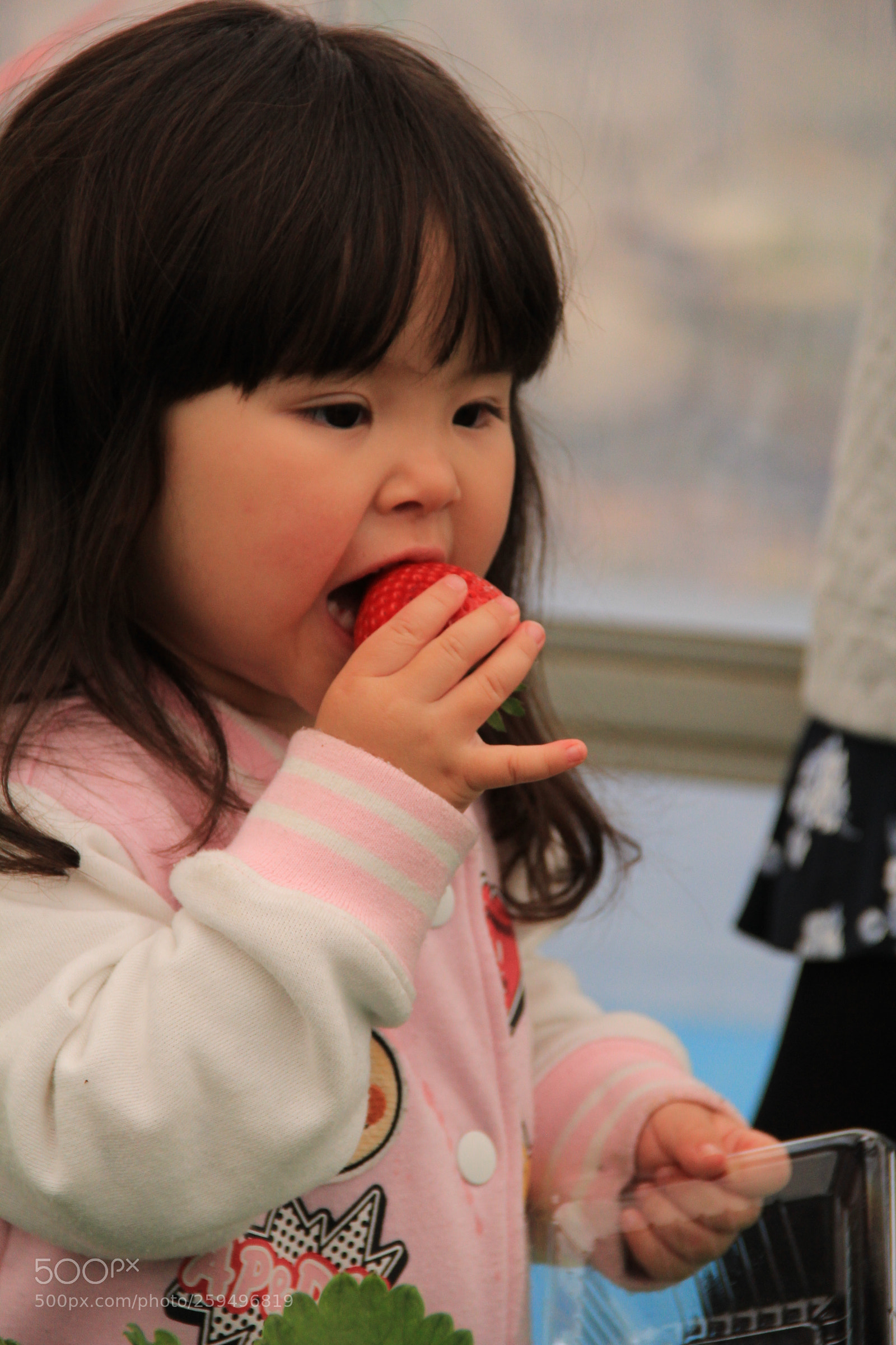 Canon EOS 60D sample photo. Strawberry girl            img photography