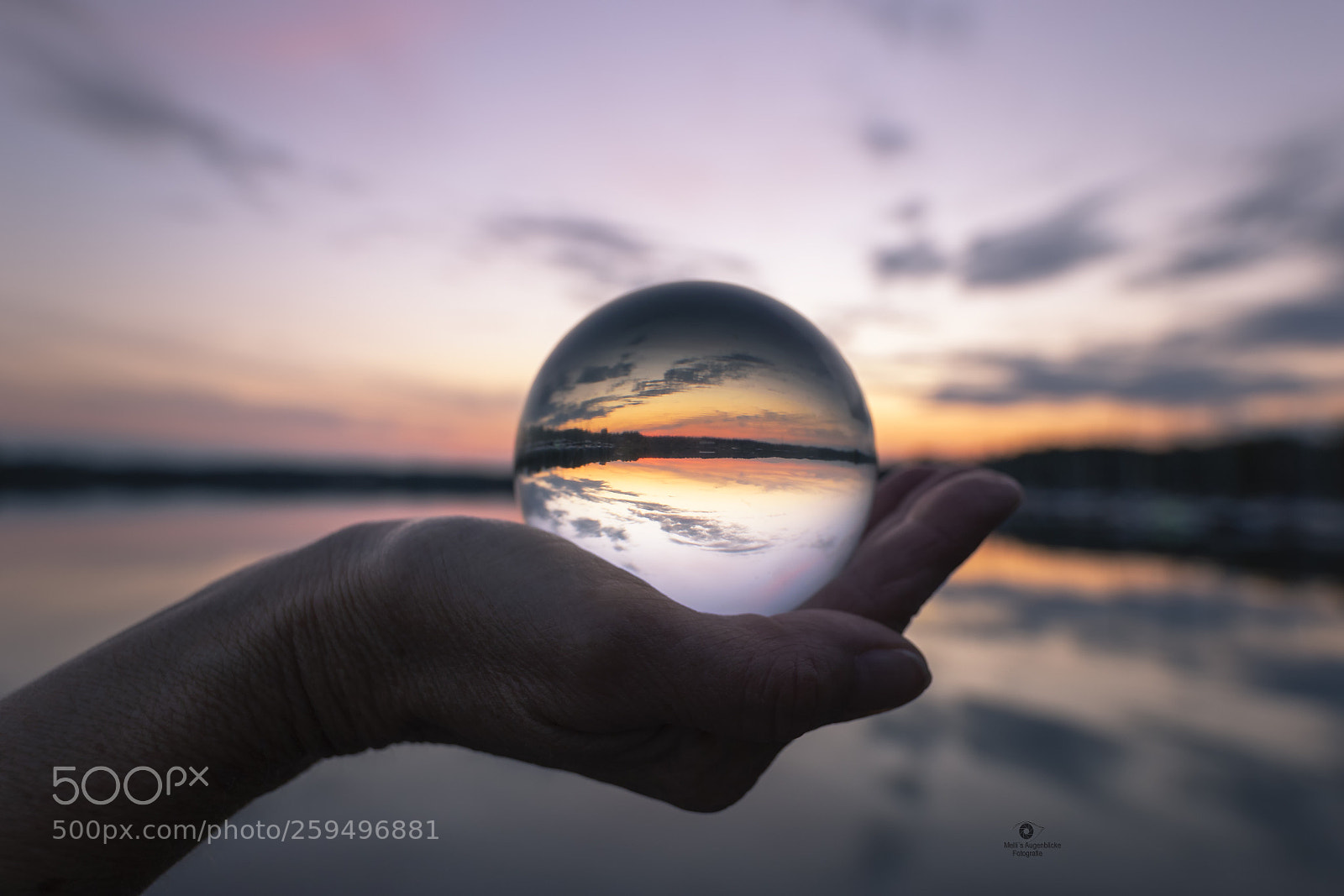 Canon EOS 7D Mark II sample photo. In your hand... photography