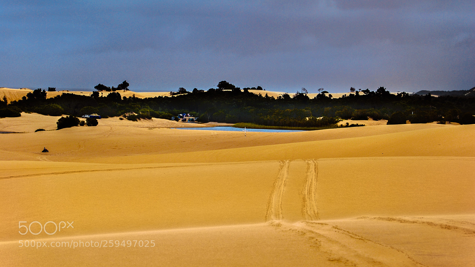 Nikon D40X sample photo. Sand dunes and oasis photography