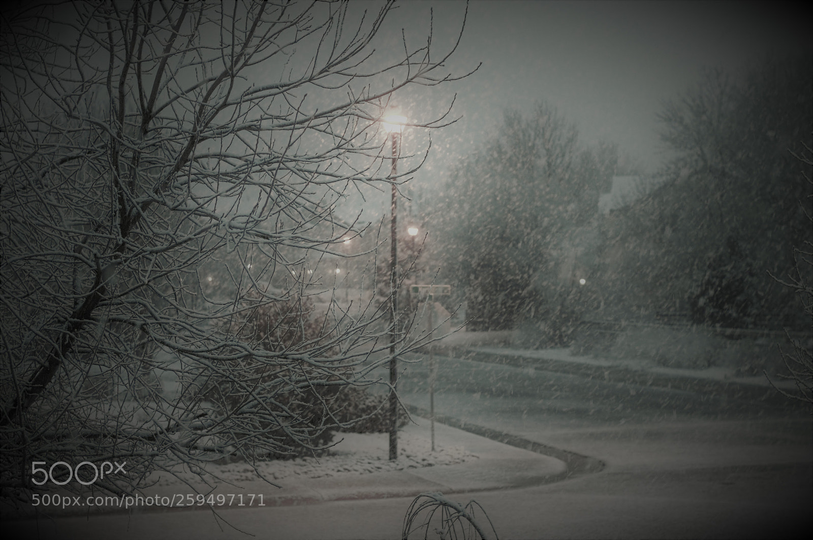 Nikon D3200 sample photo. Spring snow photography