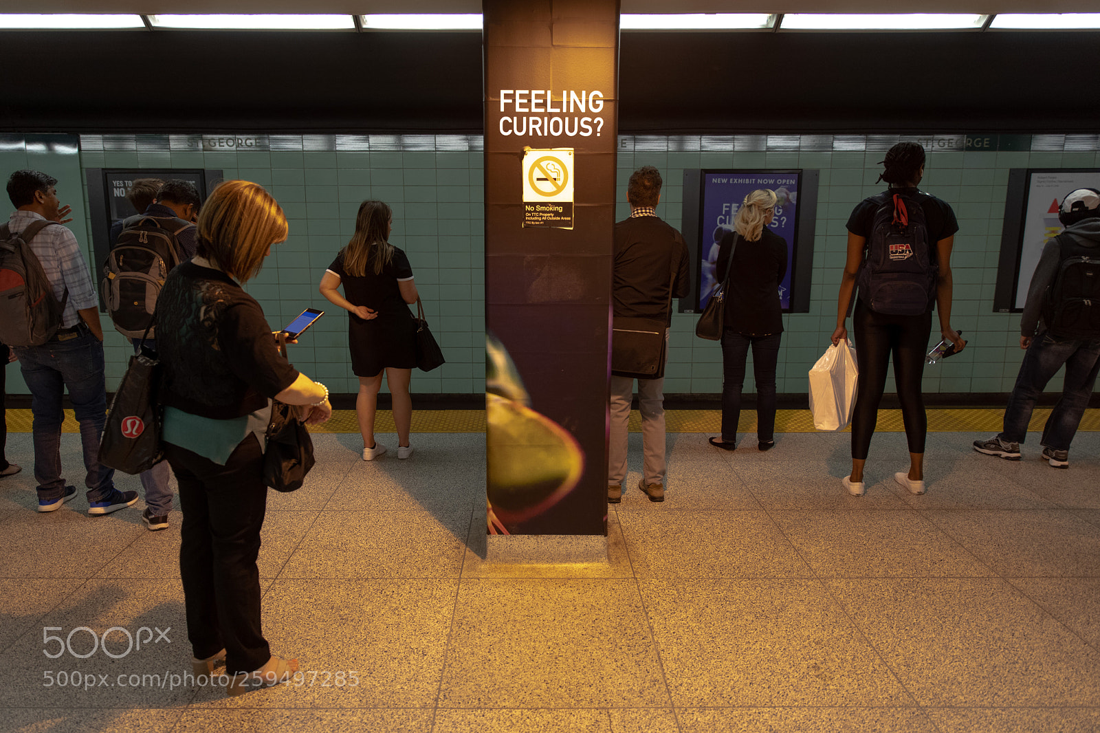 Canon EOS 5D Mark IV sample photo. Feeling curious? photography