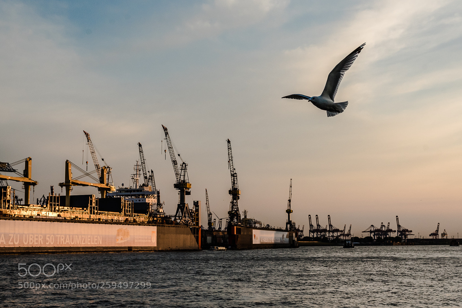 Nikon D750 sample photo. Sunset hamburg photography
