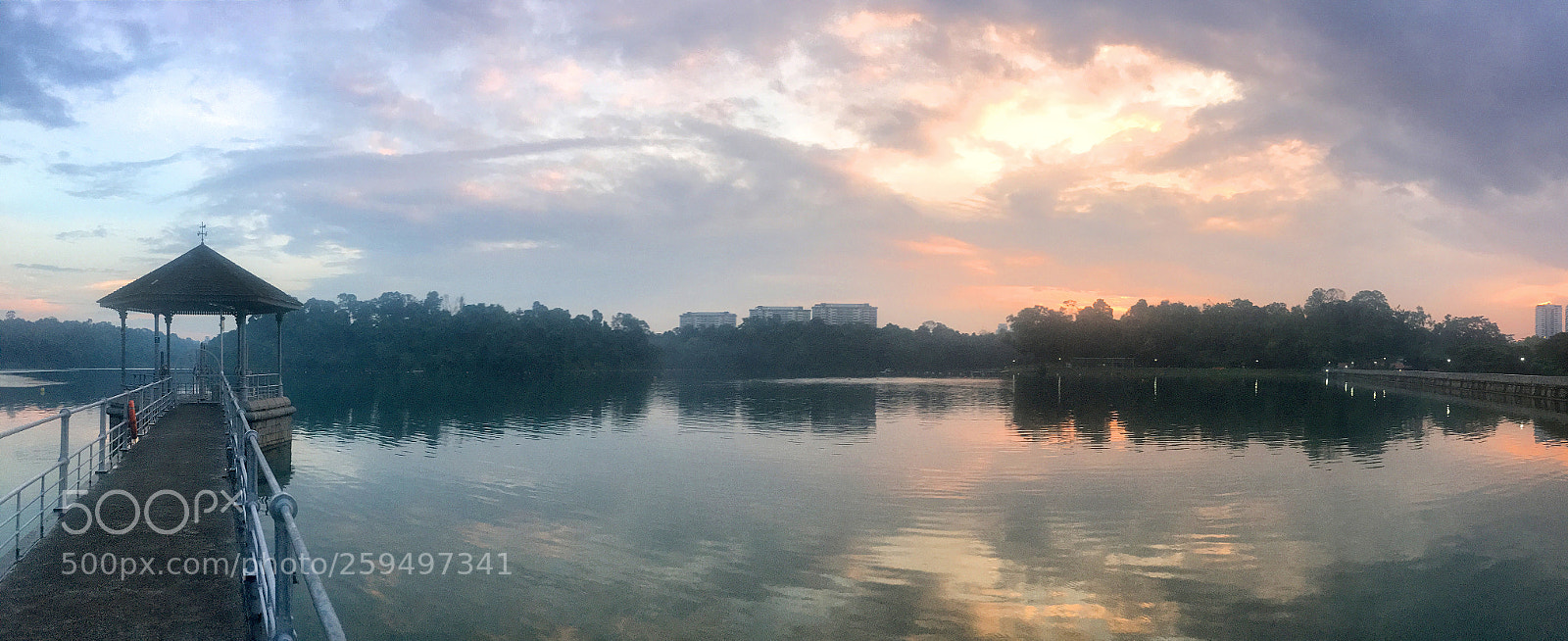 Apple iPhone 6s sample photo. Macritchie reservoir singapore photography