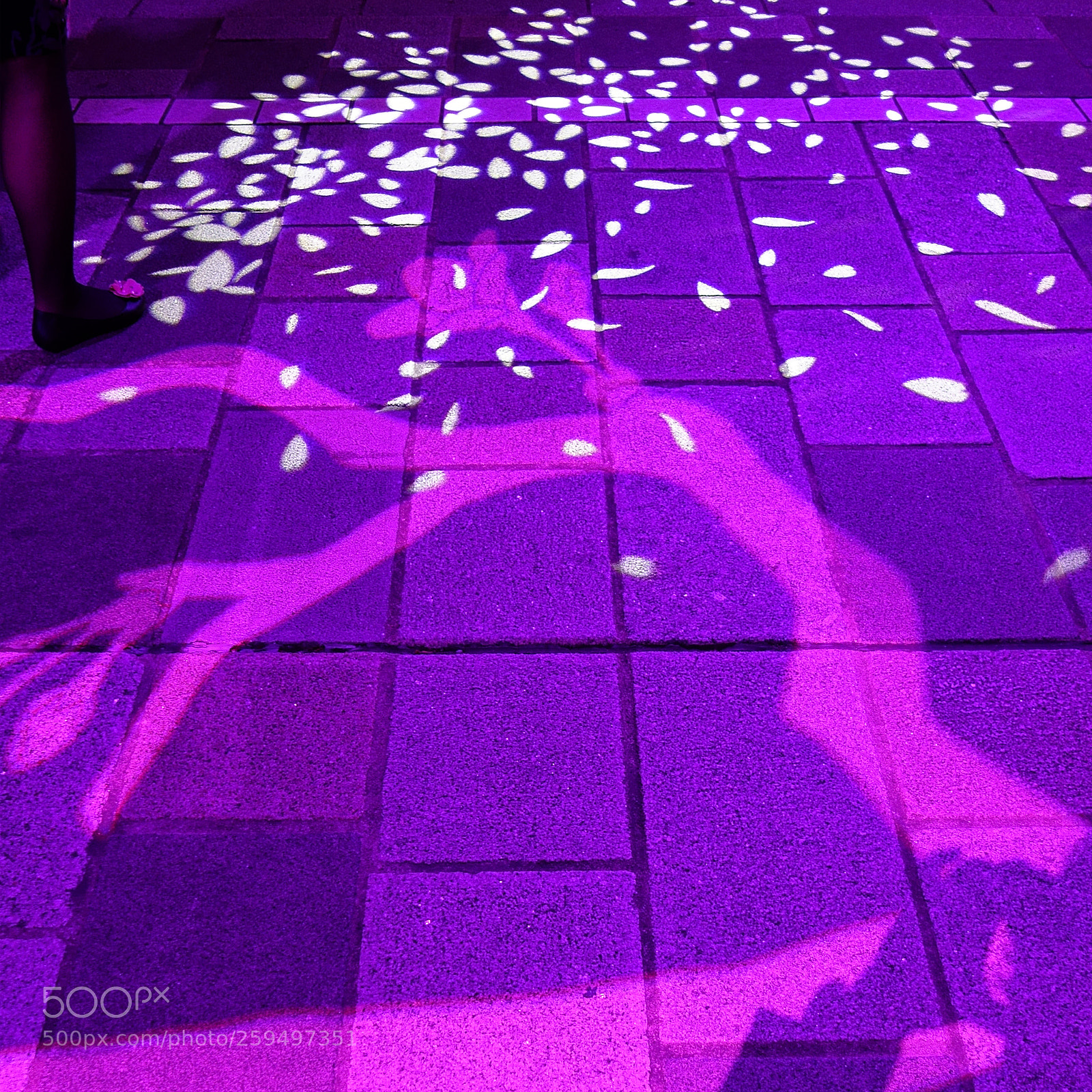 Sony Cyber-shot DSC-RX100 sample photo. 構成=composition-148 photography