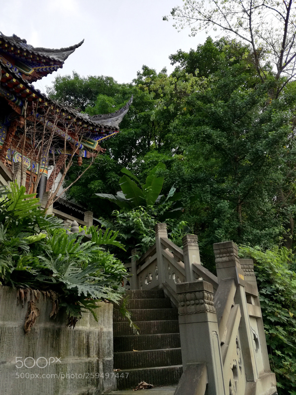 HUAWEI P9 LITE sample photo. Chinese garden photography