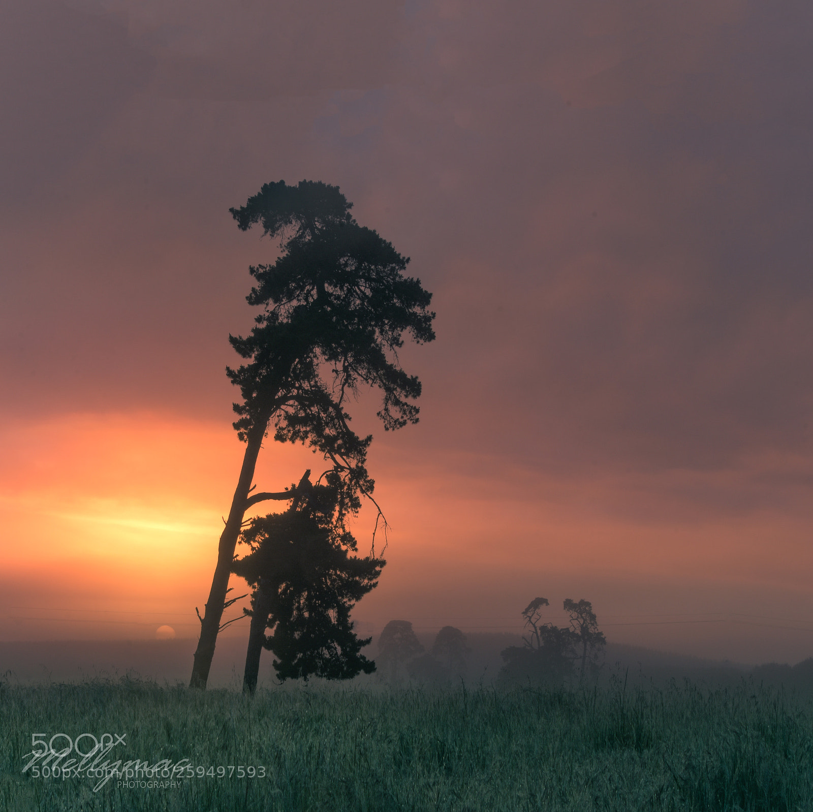 Nikon D7200 sample photo. Morning glow photography