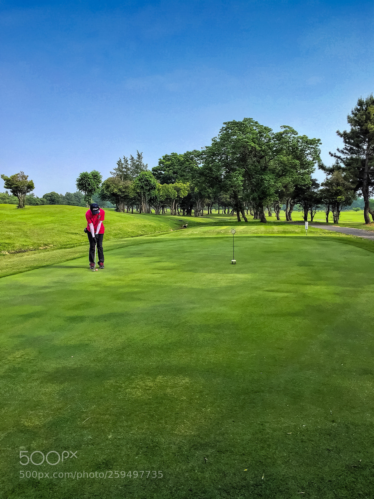Apple iPhone 6 sample photo. Kamisato golf style 1... 上里ゴルフ photography