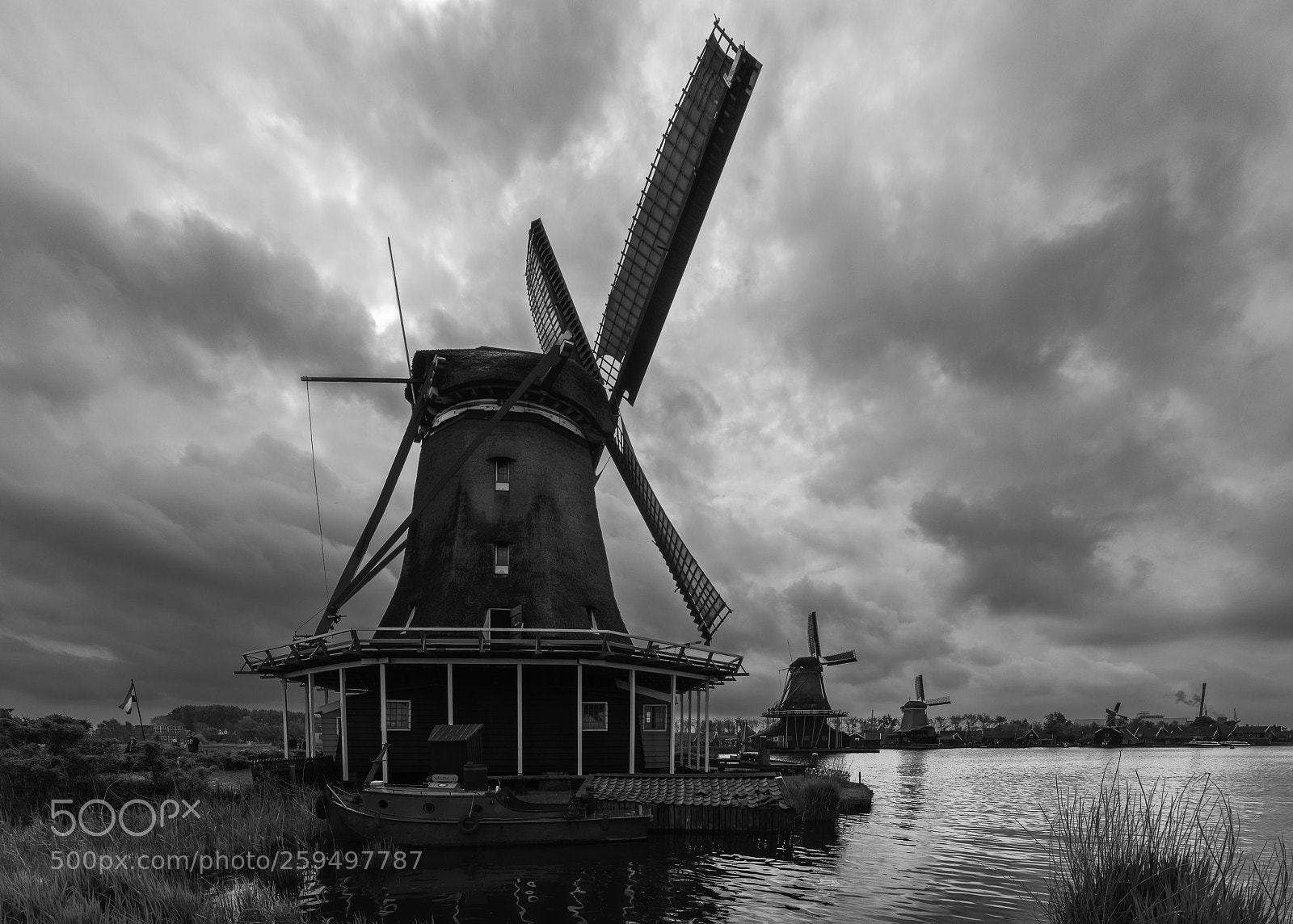 Nikon D7200 sample photo. Molinos de amsterdan photography