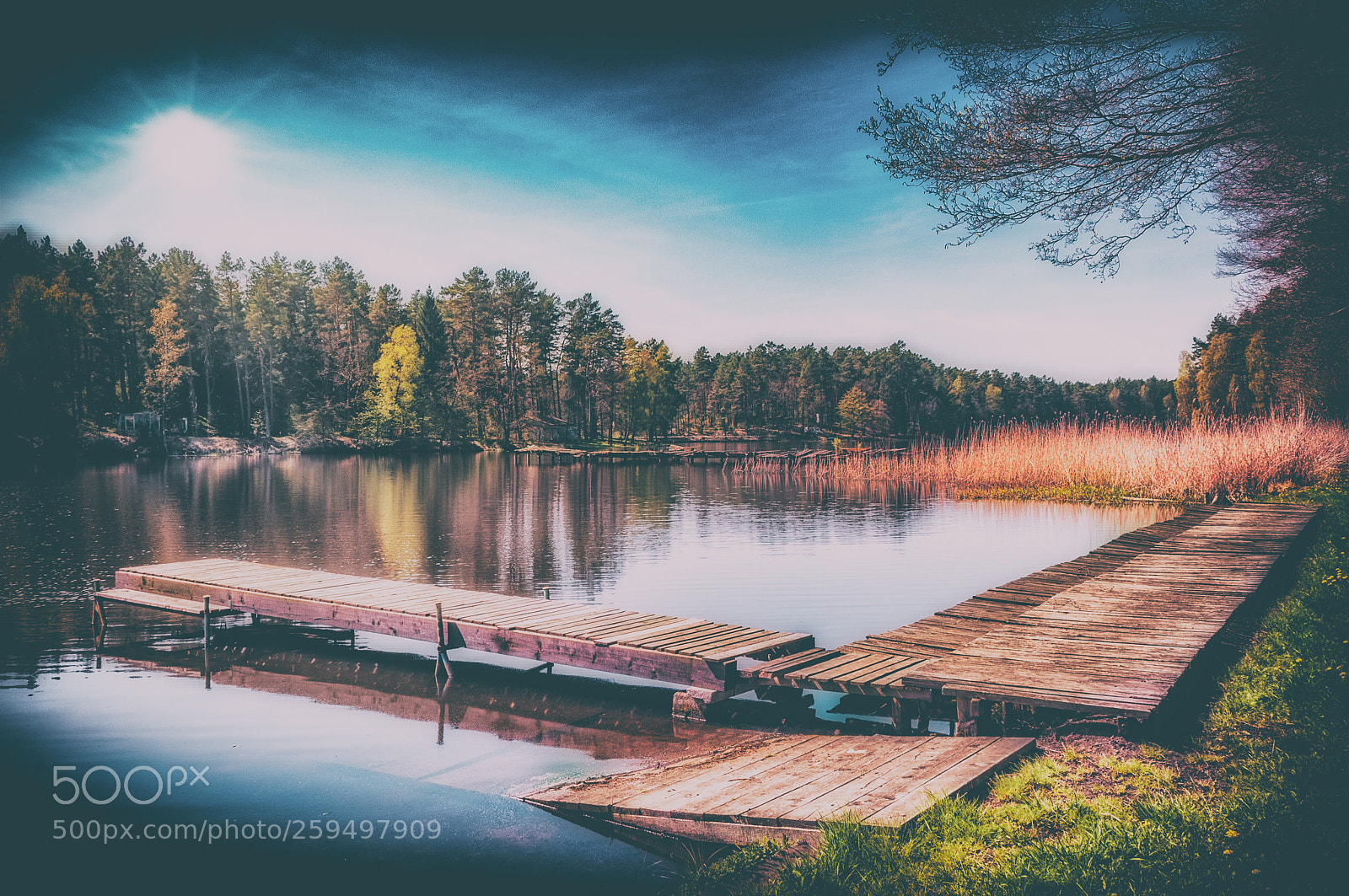 Nikon D300S sample photo. Lazy lake photography