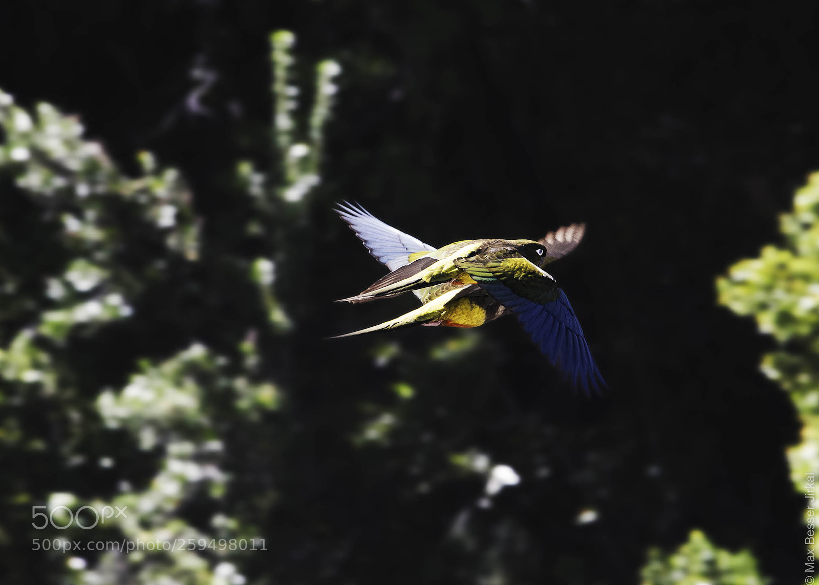 Nikon D500 sample photo. _a178162.jpg photography