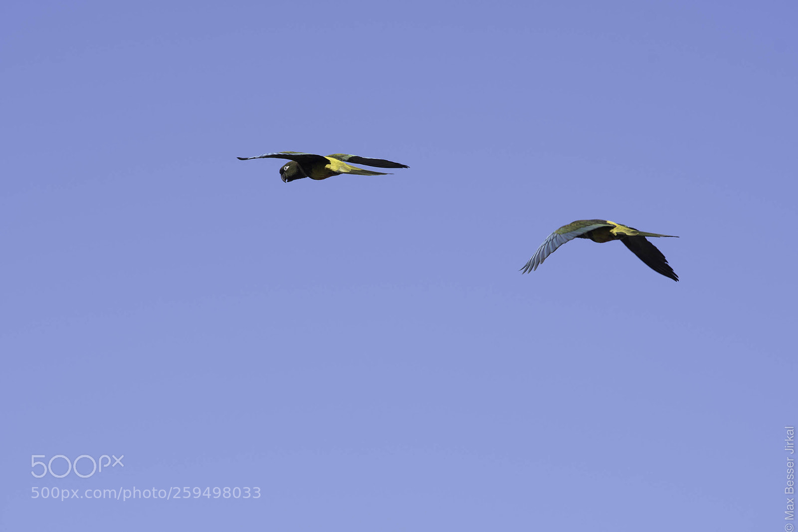 Nikon D500 sample photo. _a178183.jpg photography