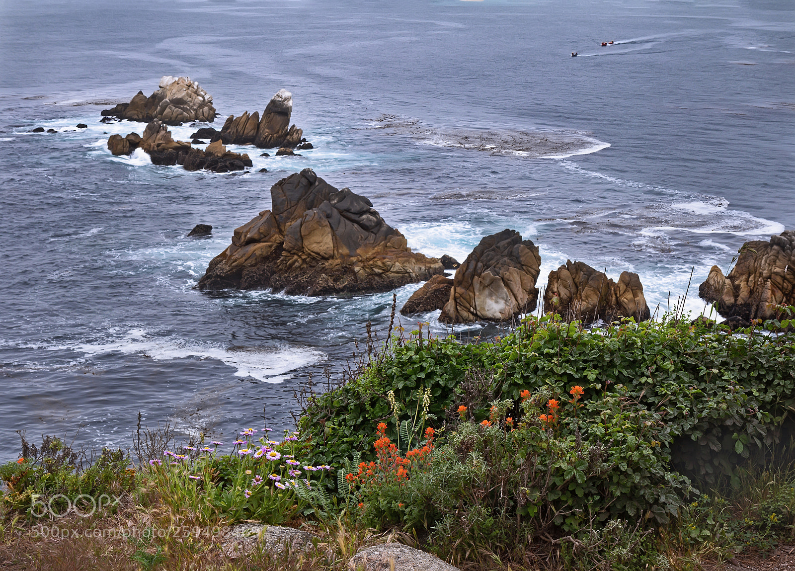 Canon EOS 60D sample photo. Spring at pacific cost. photography