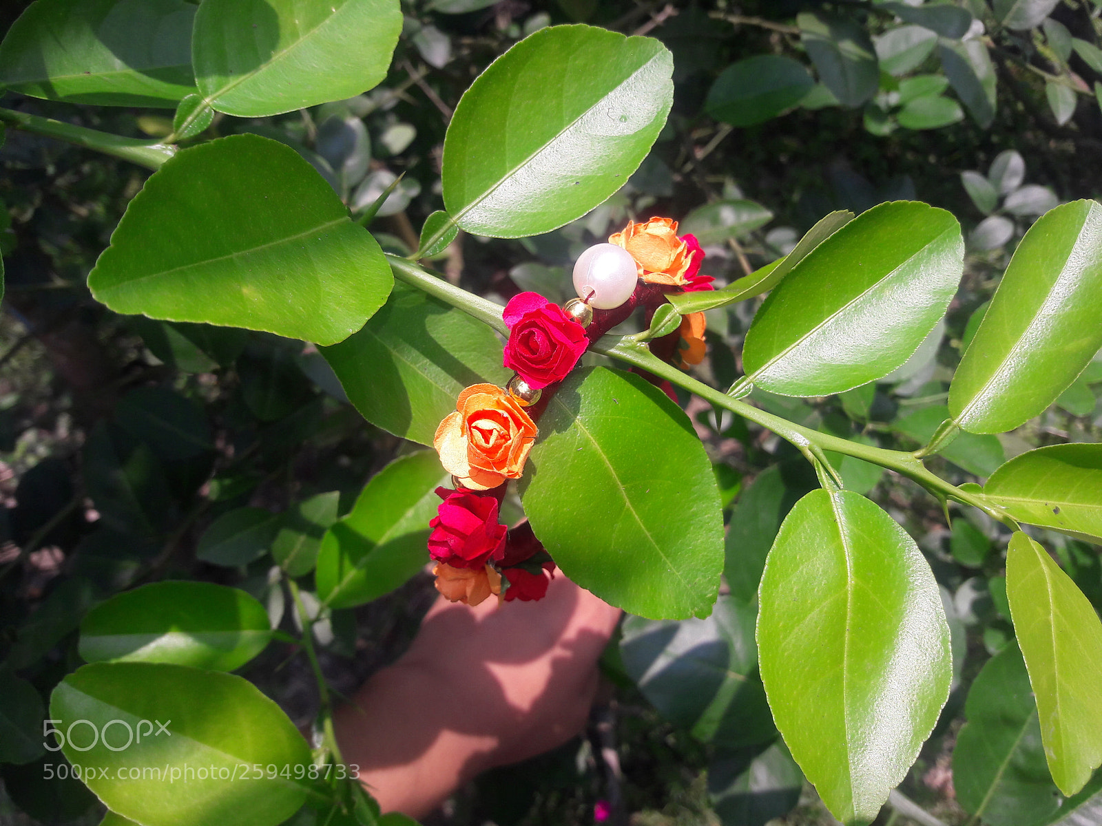 Samsung Galaxy J7 sample photo. Handmade bangle photography