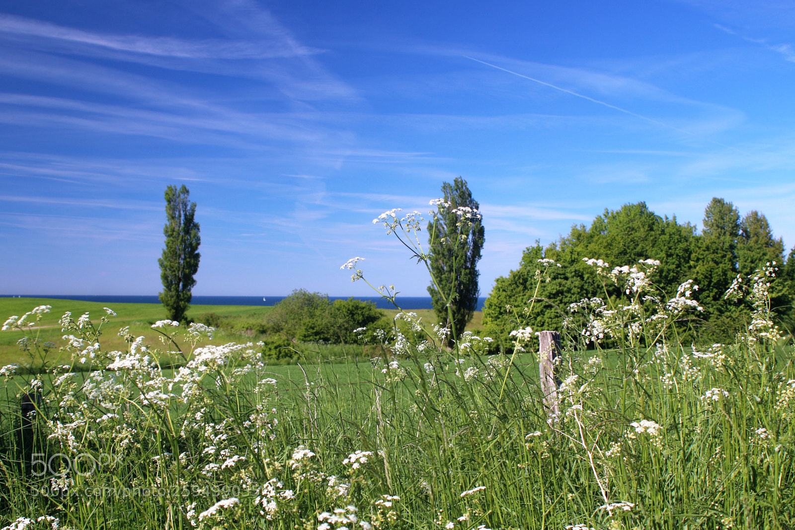 Canon EOS 100D (EOS Rebel SL1 / EOS Kiss X7) sample photo. Rural sea view photography