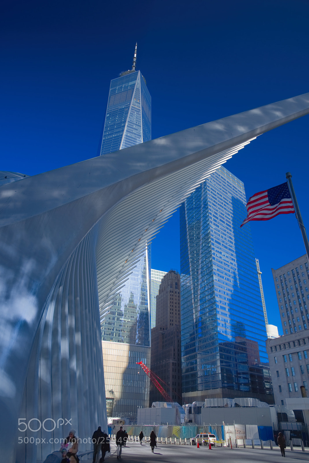 Nikon D810 sample photo. The oculus photography