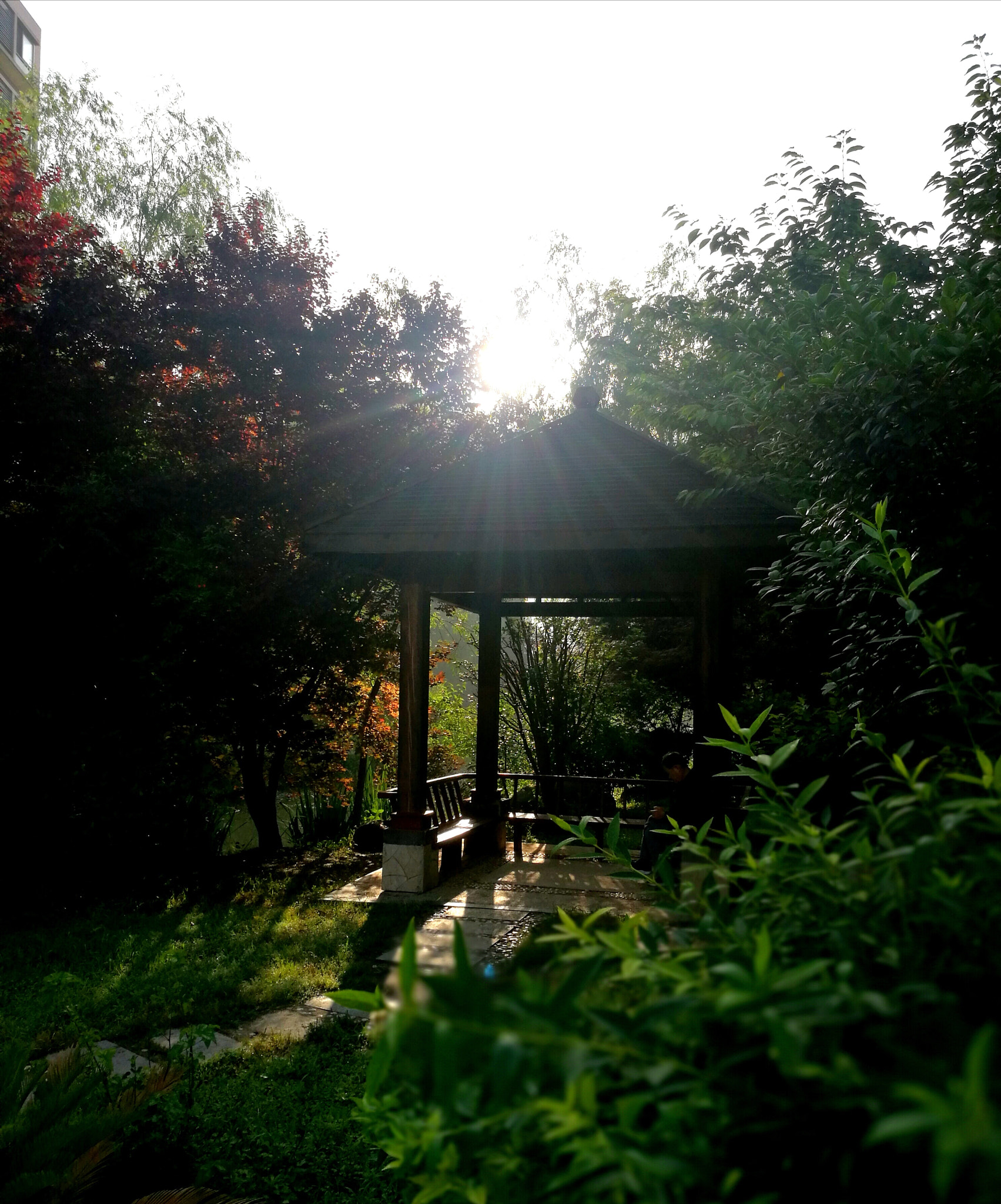 HUAWEI P9 Plus sample photo