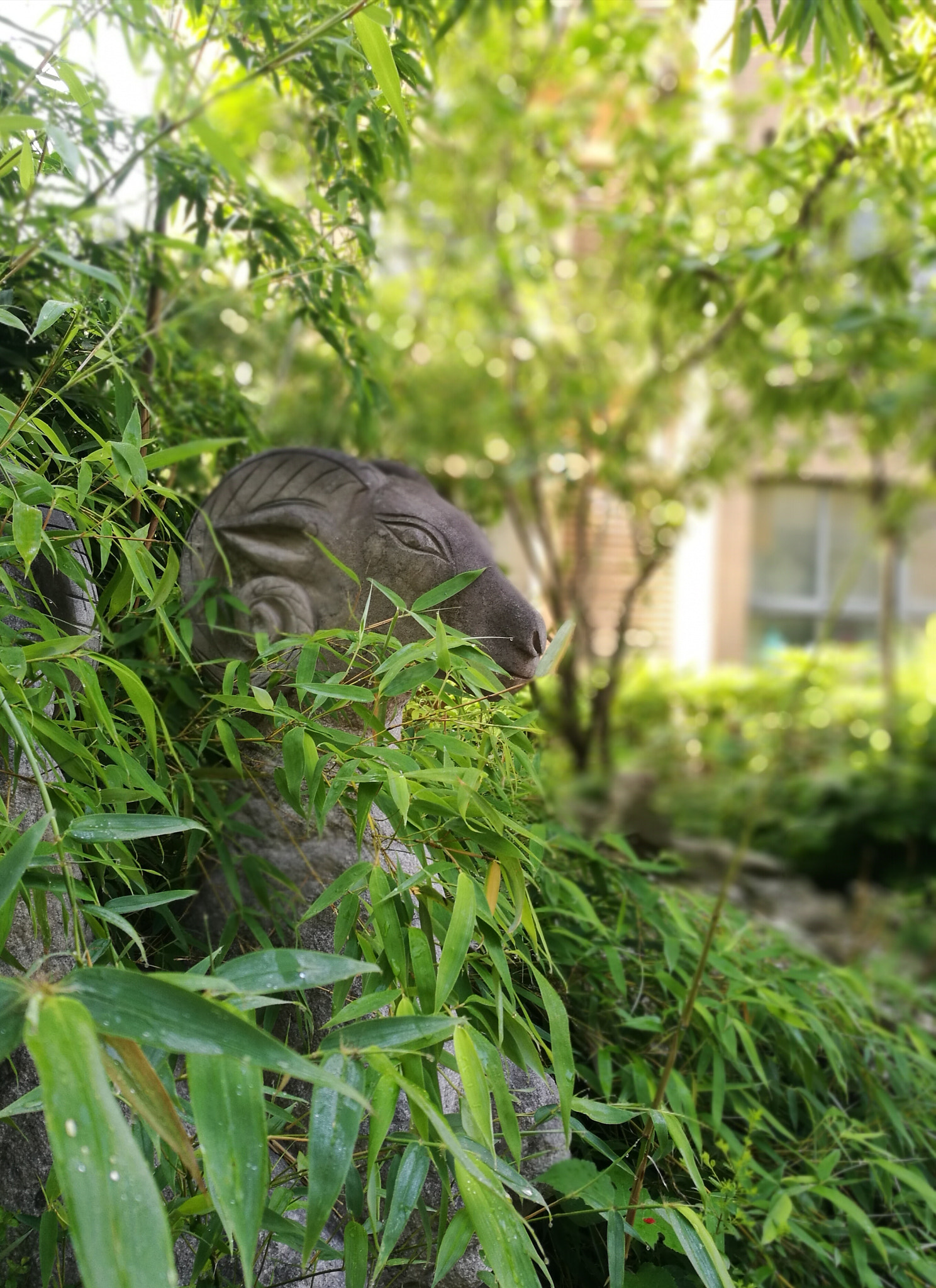 HUAWEI P9 Plus sample photo