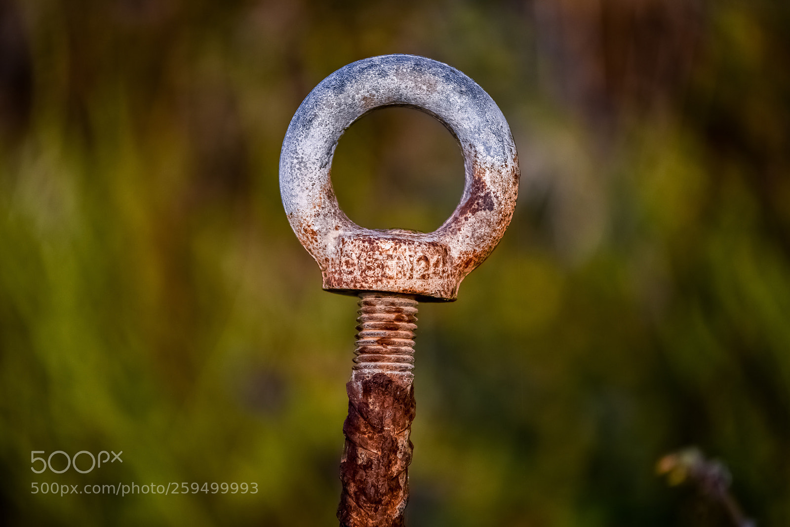Nikon D750 sample photo. La ruggine rode il photography