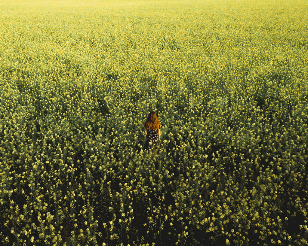 The field by Locarl  on 500px.com