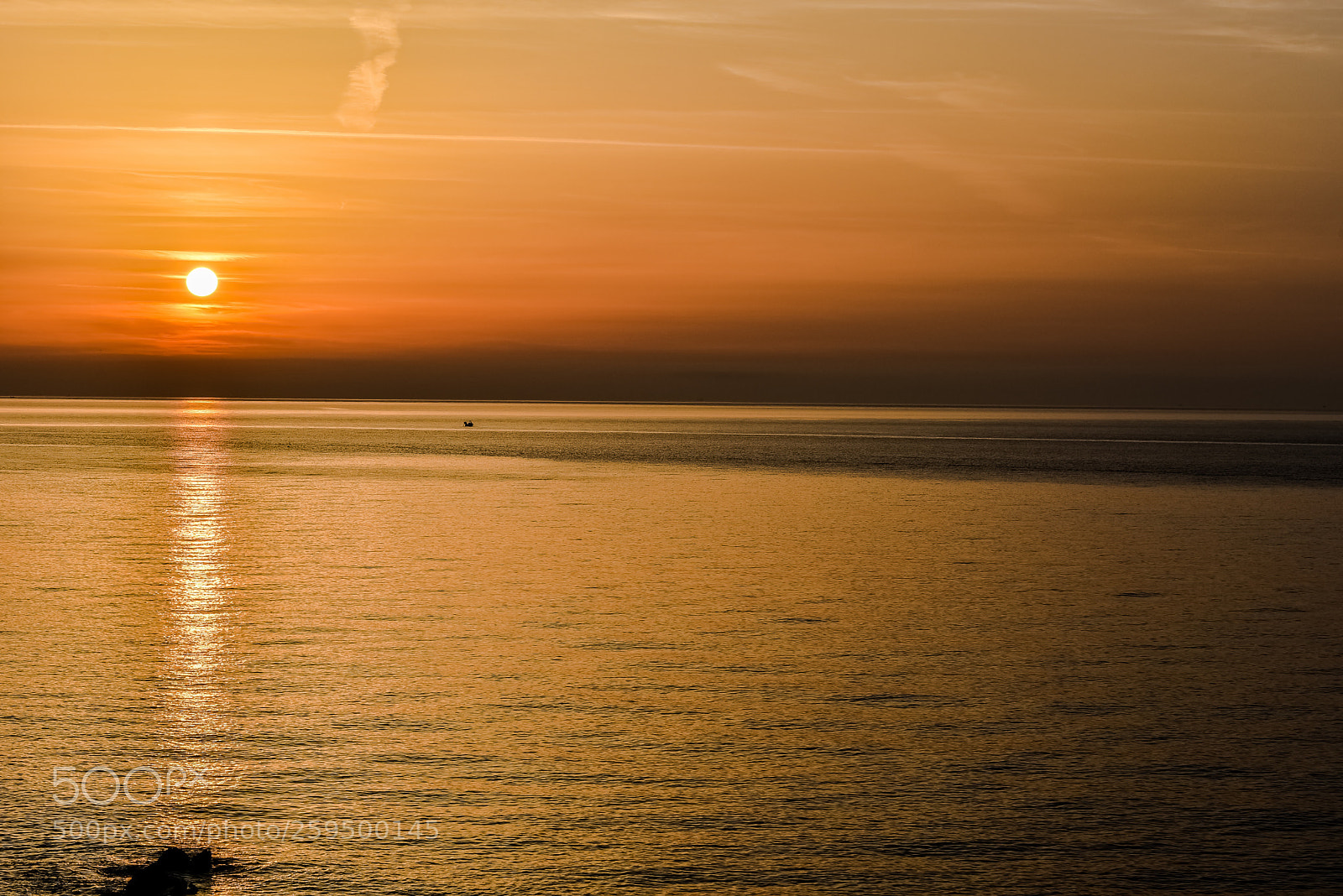 Nikon D750 sample photo. Il risveglio della natura  photography