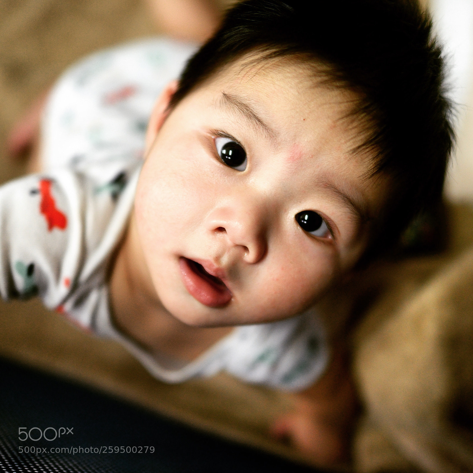 Nikon D800 sample photo. Untitled photography