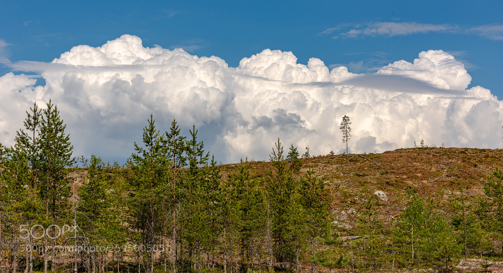 Nikon D810 sample photo. Formation photography