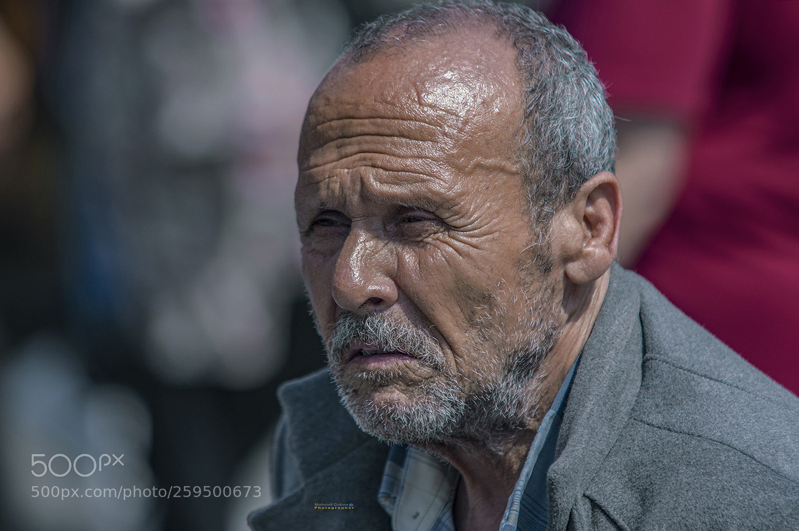 Pentax K-3 II sample photo. The toughest face of photography