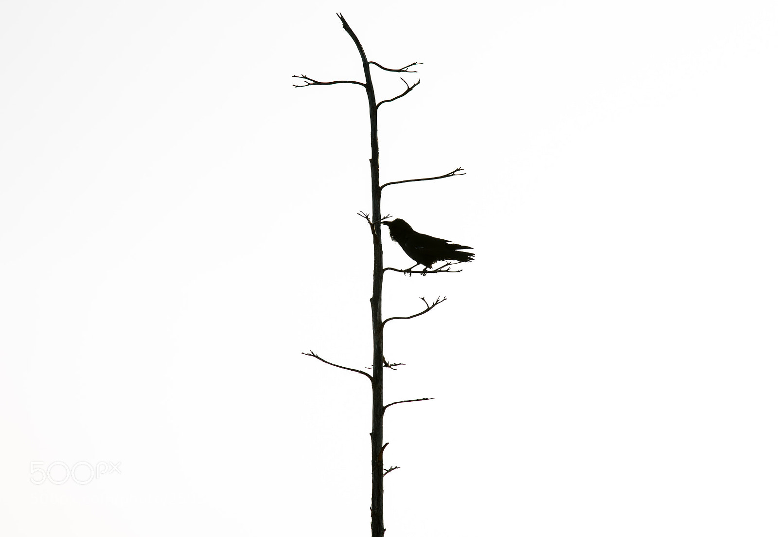 Canon EOS 70D sample photo. Untitled. photography