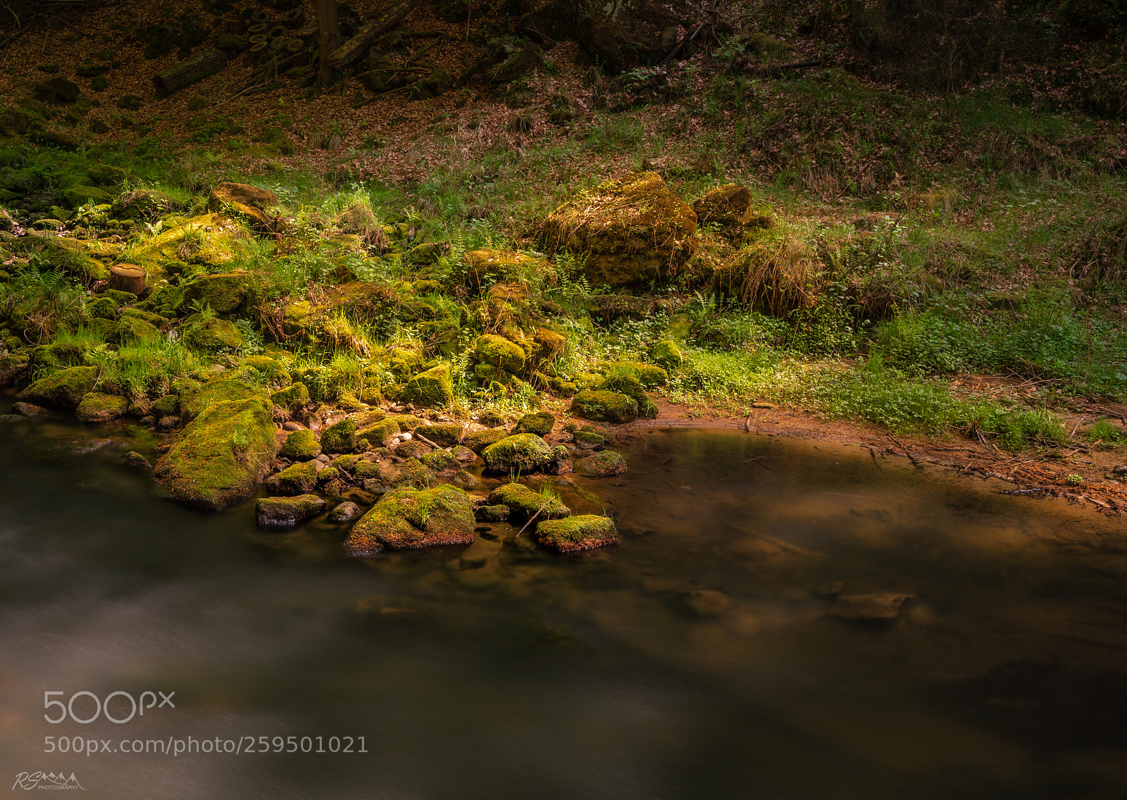 Sony a7R II sample photo. Riverbank scenery photography