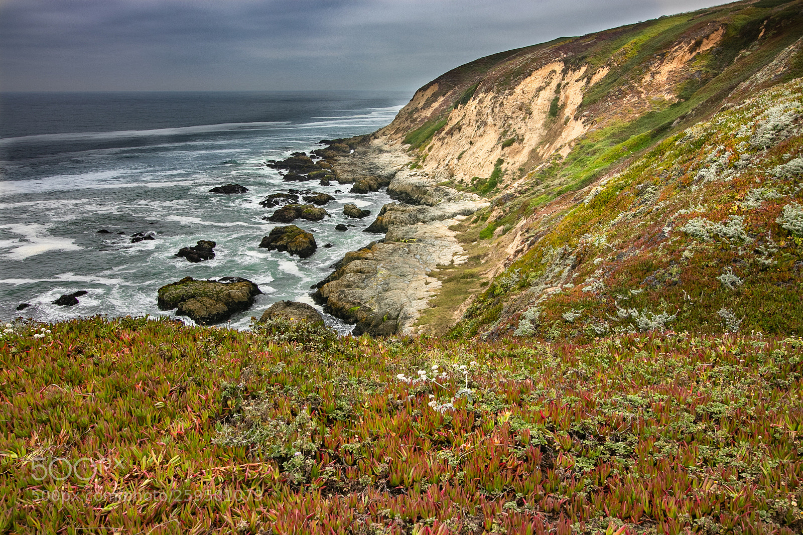 Canon EOS 80D sample photo. Bodega bay coastal cliffs photography