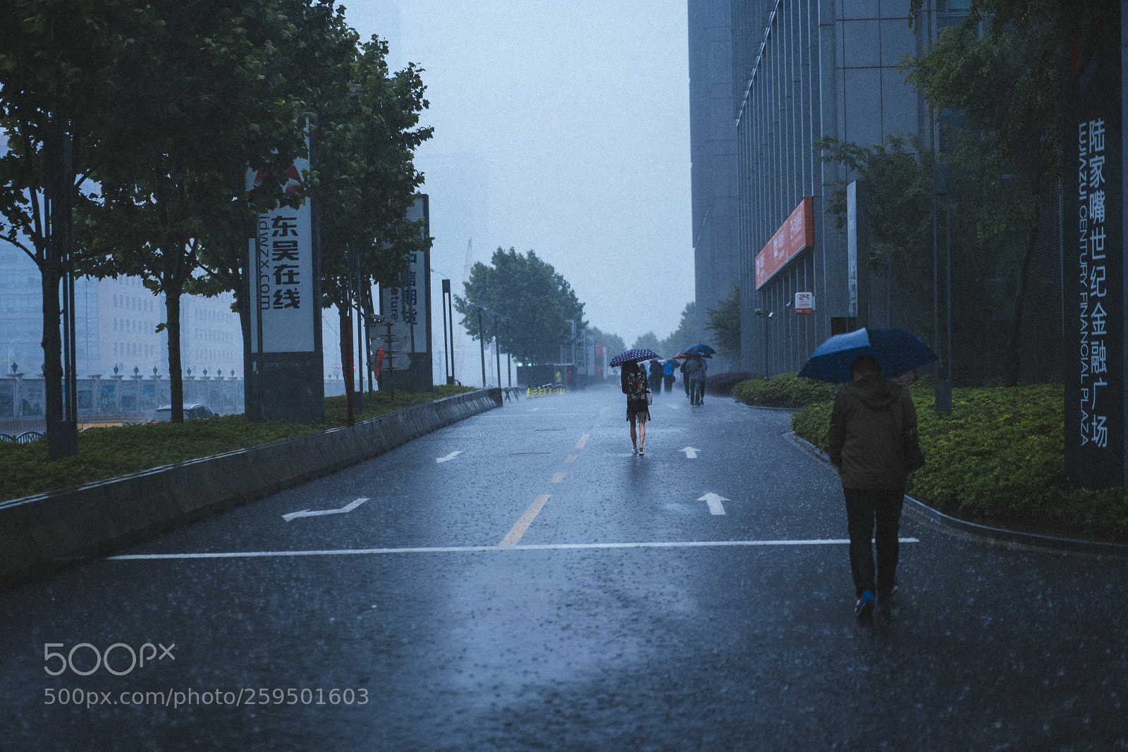 Sony a7R III sample photo. Rainy rush hour photography