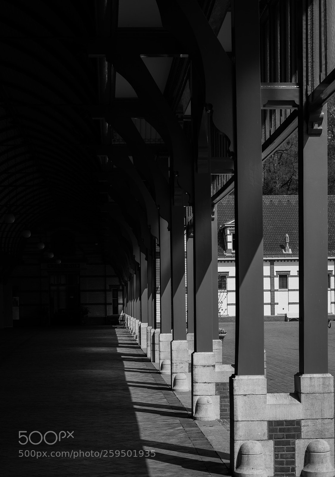 Nikon D7200 sample photo. From the shadows photography