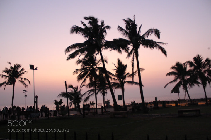 Canon EOS 1200D (EOS Rebel T5 / EOS Kiss X70 / EOS Hi) sample photo. Silhouette sunset scene photography