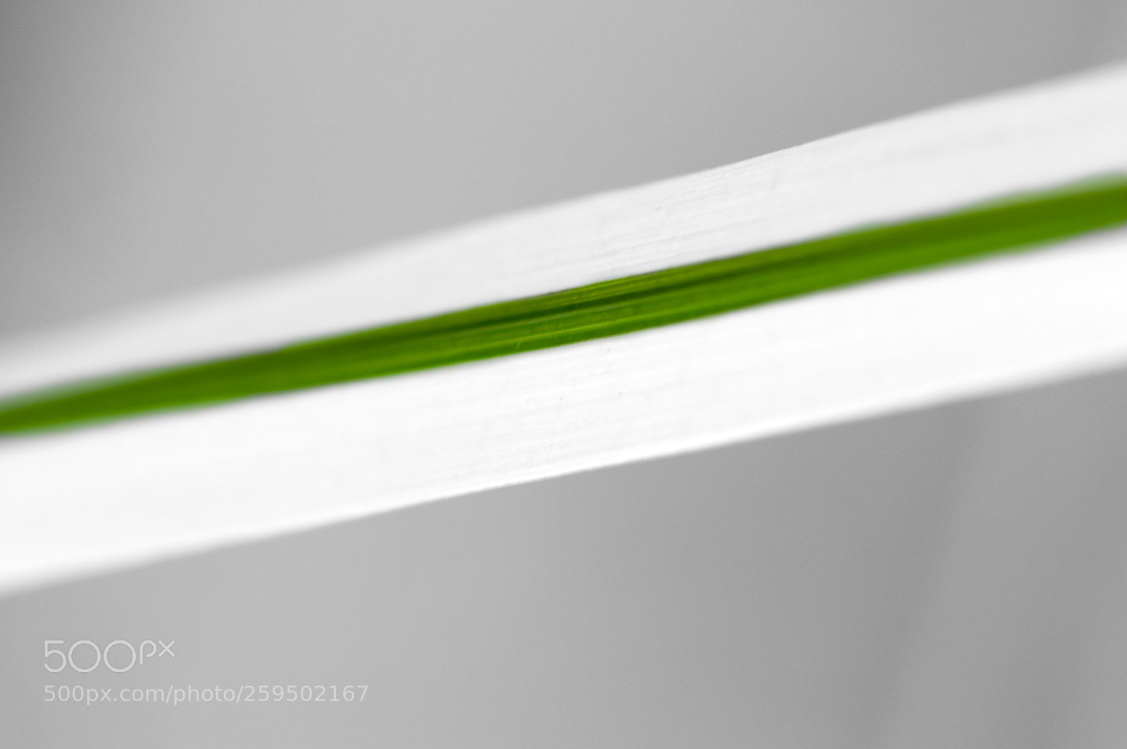 Nikon D90 sample photo. Stripe photography