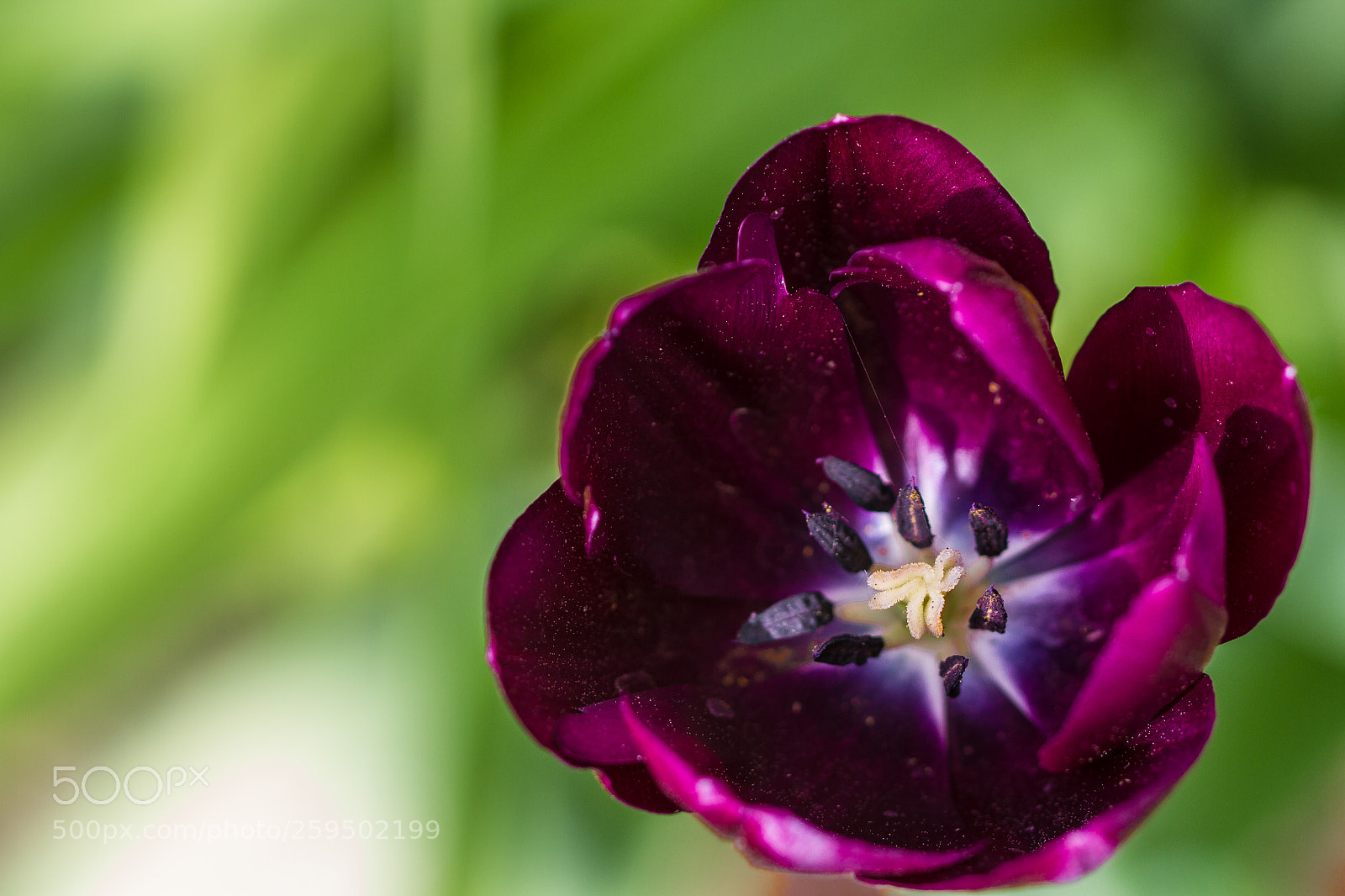 Canon EOS 7D sample photo. Img photography
