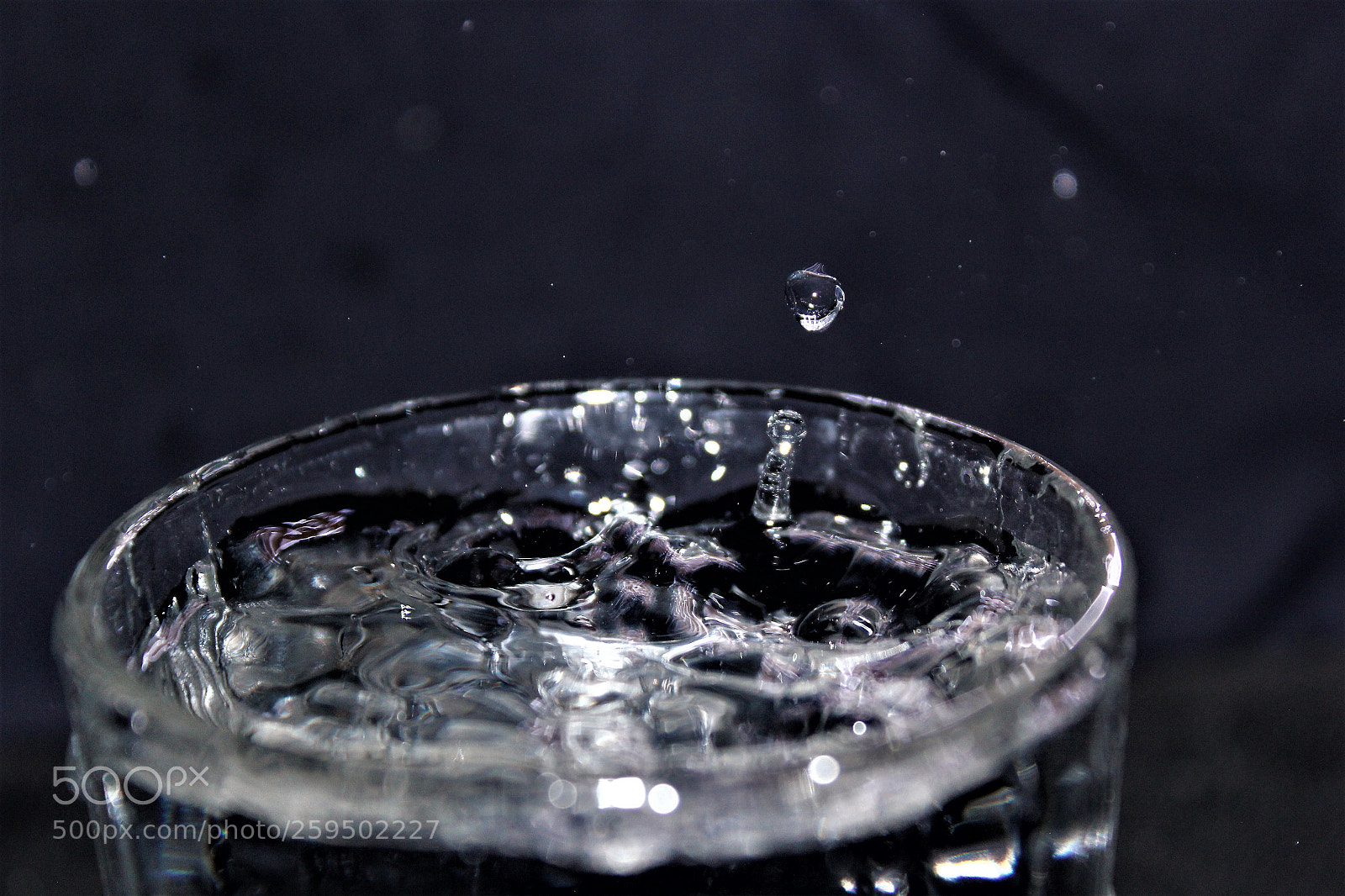 Canon EOS 60D sample photo. Fav freeze photography