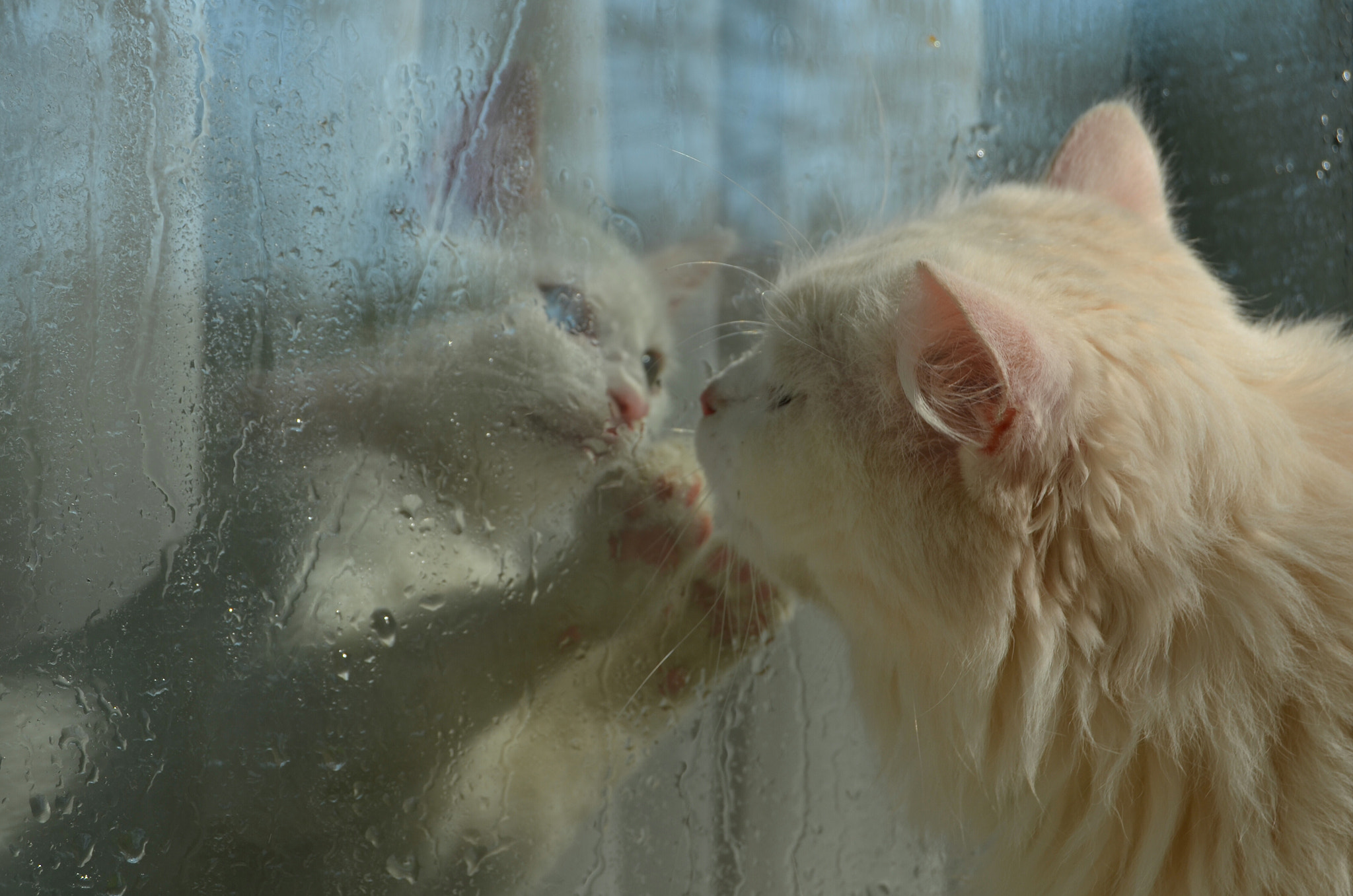 Nikon D5100 sample photo. Friendship photography