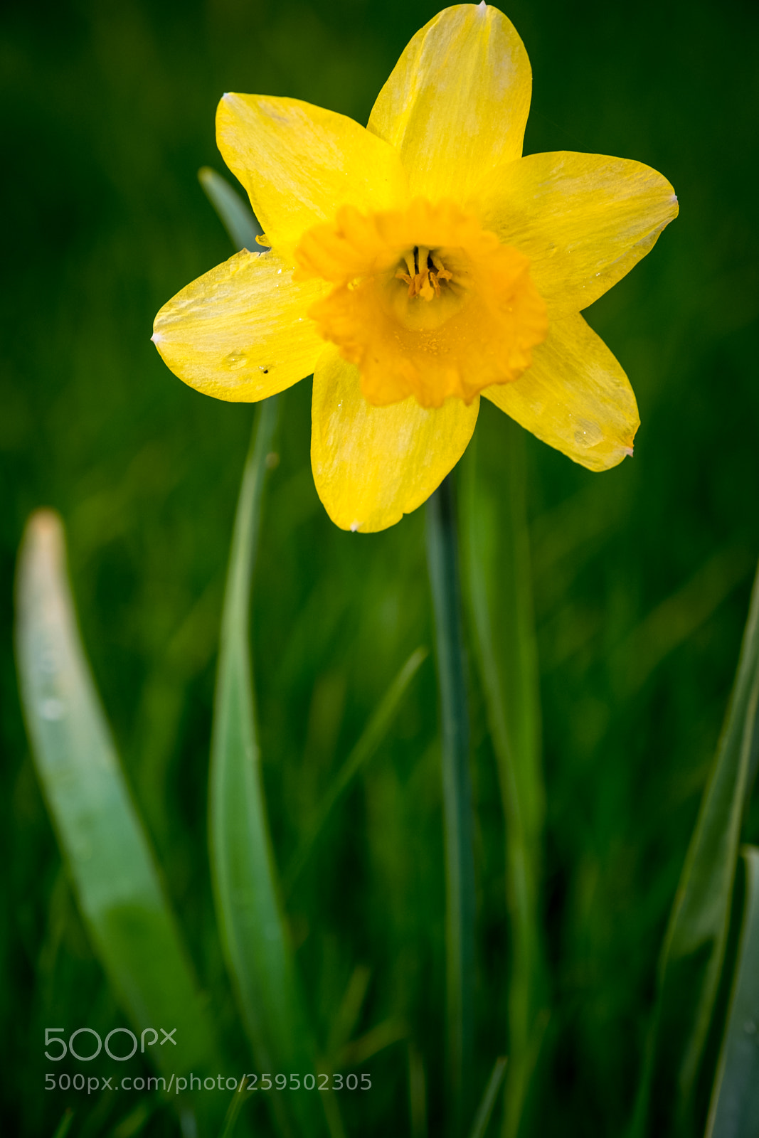 Fujifilm X-T2 sample photo. Dscf photography