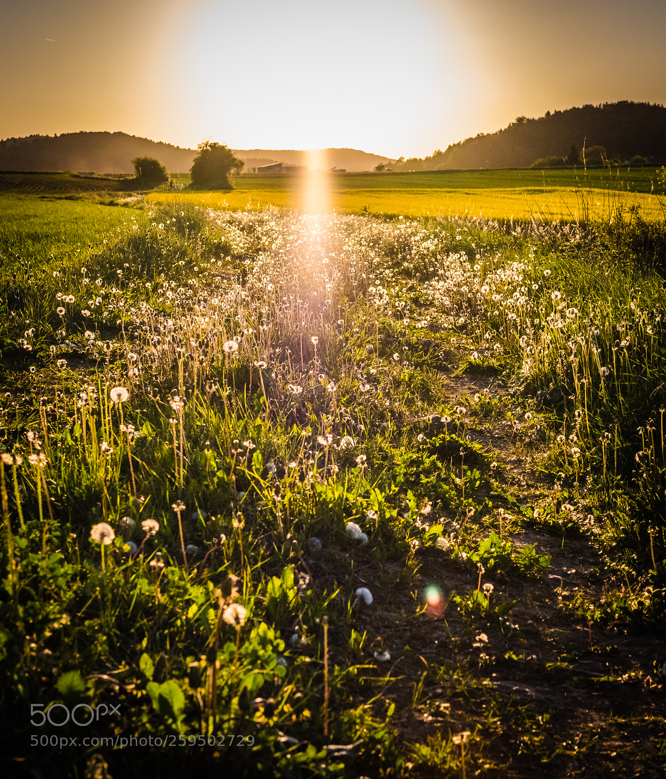 Fujifilm X-T2 sample photo. Dscf photography