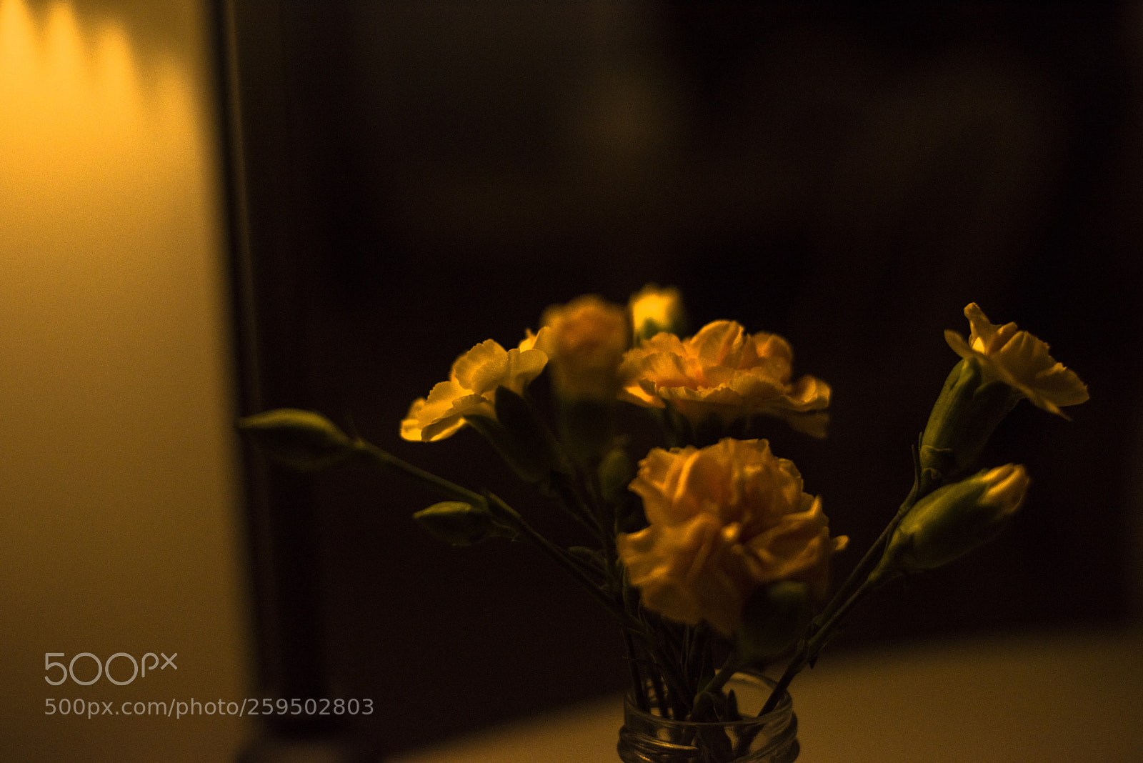 Nikon D810 sample photo. A l o n photography