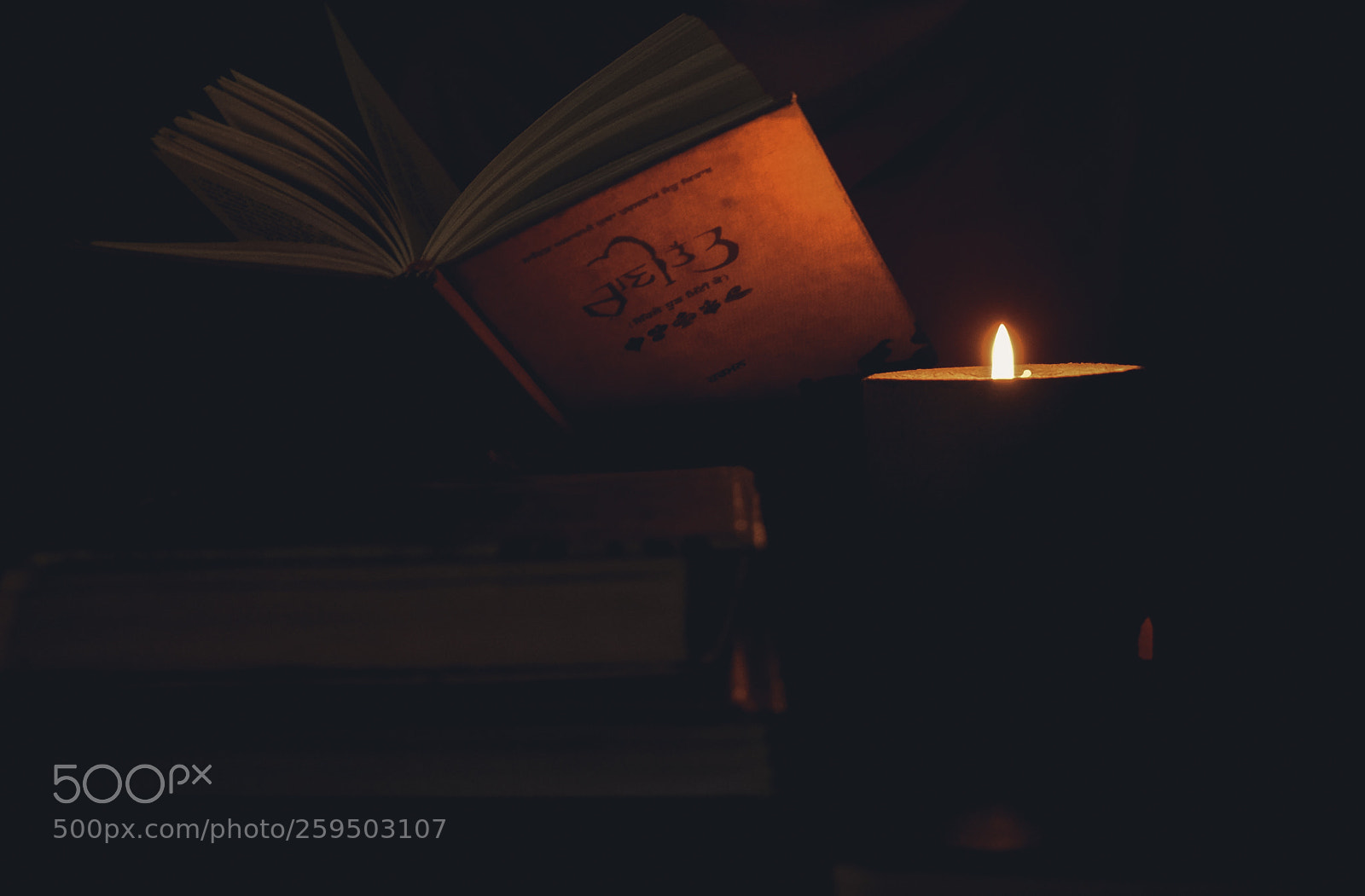 Nikon D5300 sample photo. Untitled photography