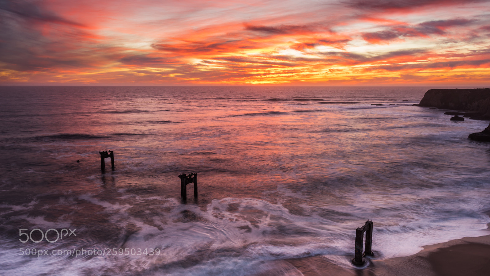 Nikon D750 sample photo. West coast best coast photography