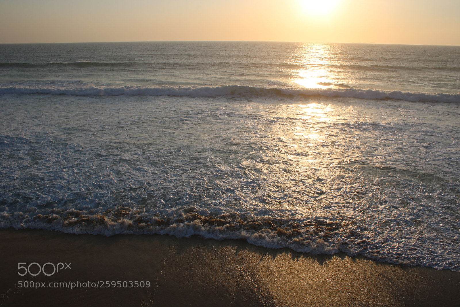 Canon EOS 750D (EOS Rebel T6i / EOS Kiss X8i) sample photo. Untitled photography