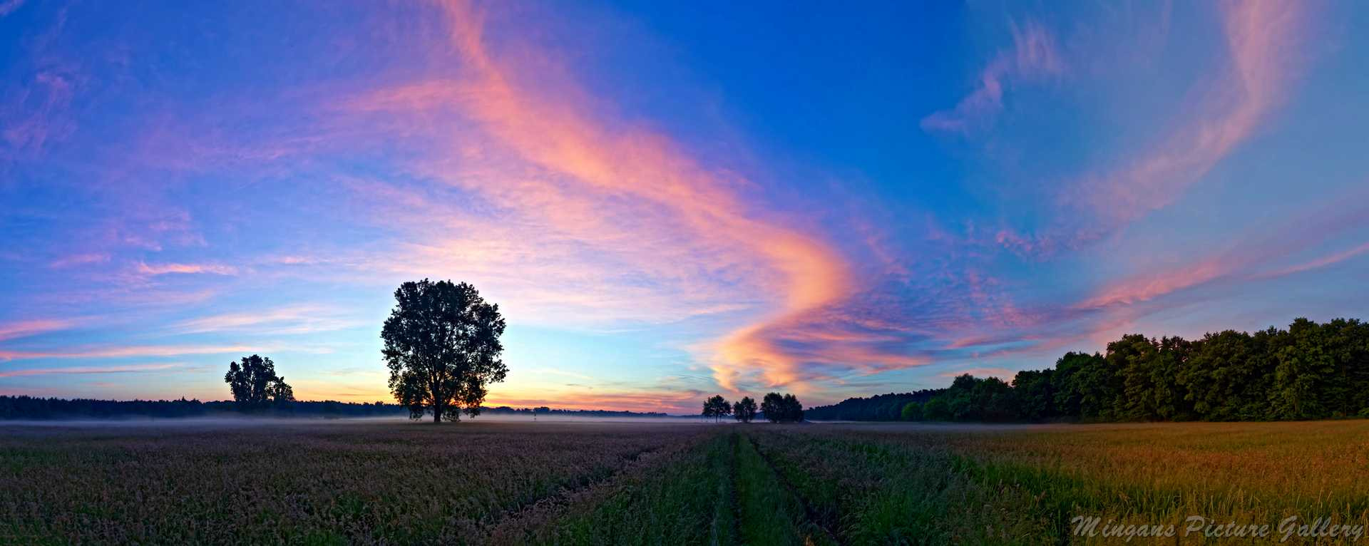 Nikon D500 sample photo. Colorfull sunrise photography
