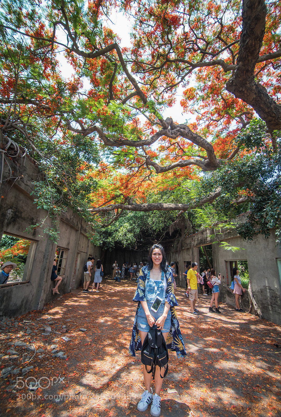 Nikon D810 sample photo. Taiwan 高雄番茄會社 photography
