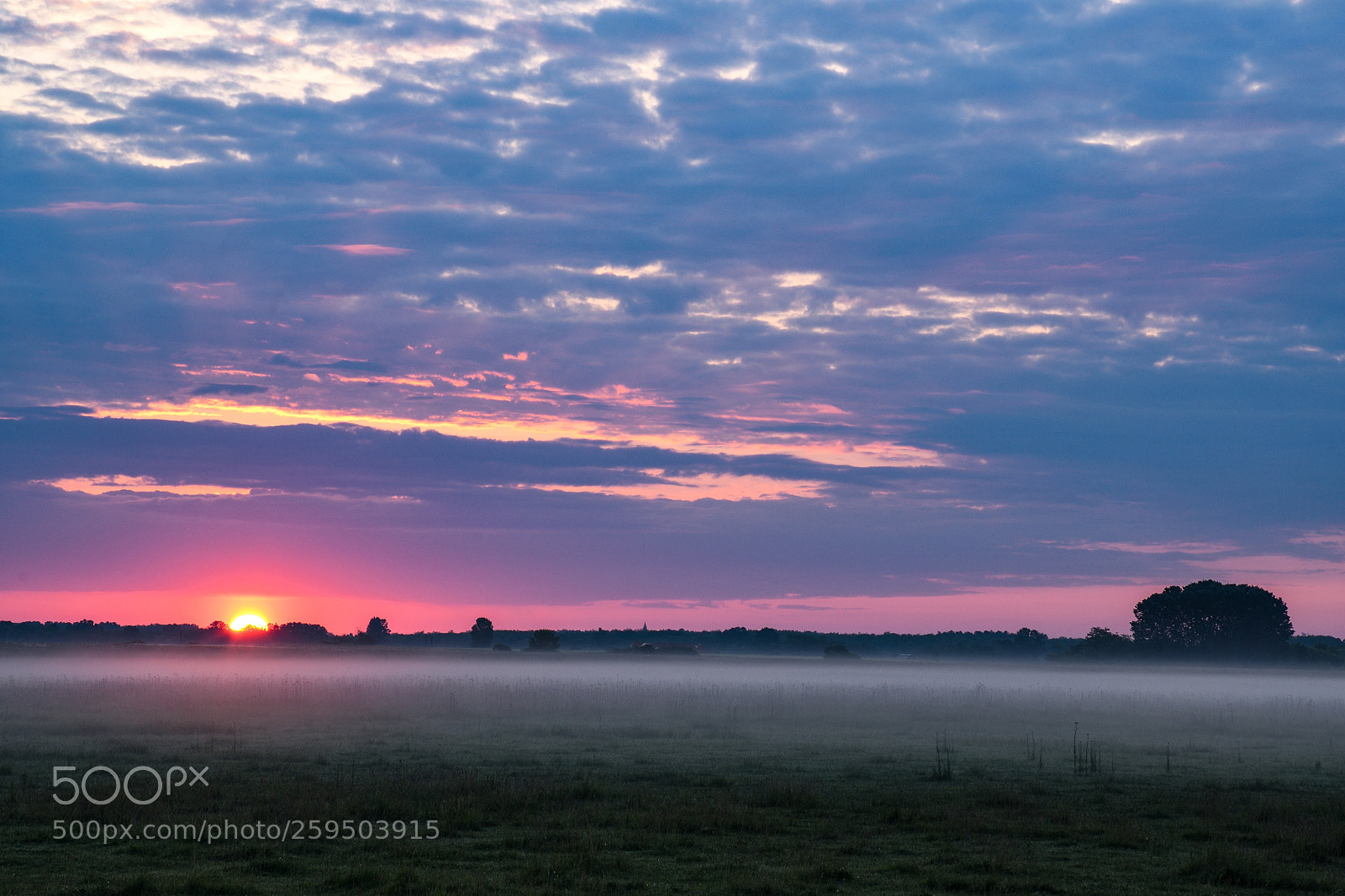 Nikon D7500 sample photo. Morning in the fields photography