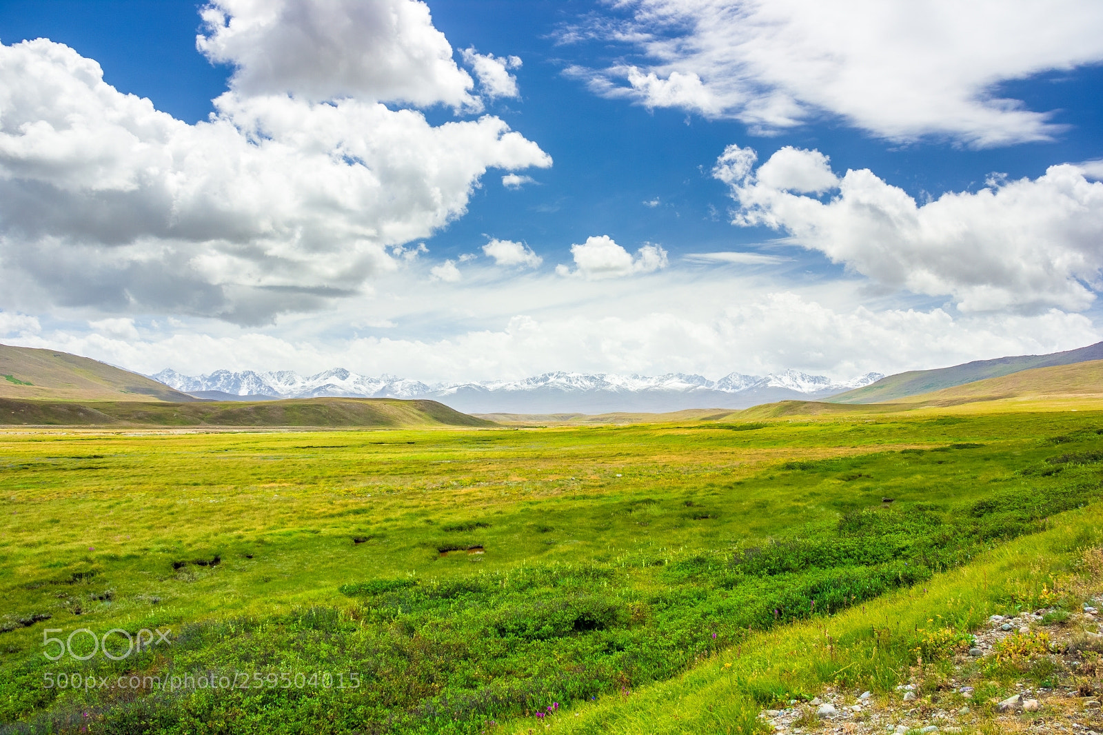 Canon EOS 550D (EOS Rebel T2i / EOS Kiss X4) sample photo. Deosai photography