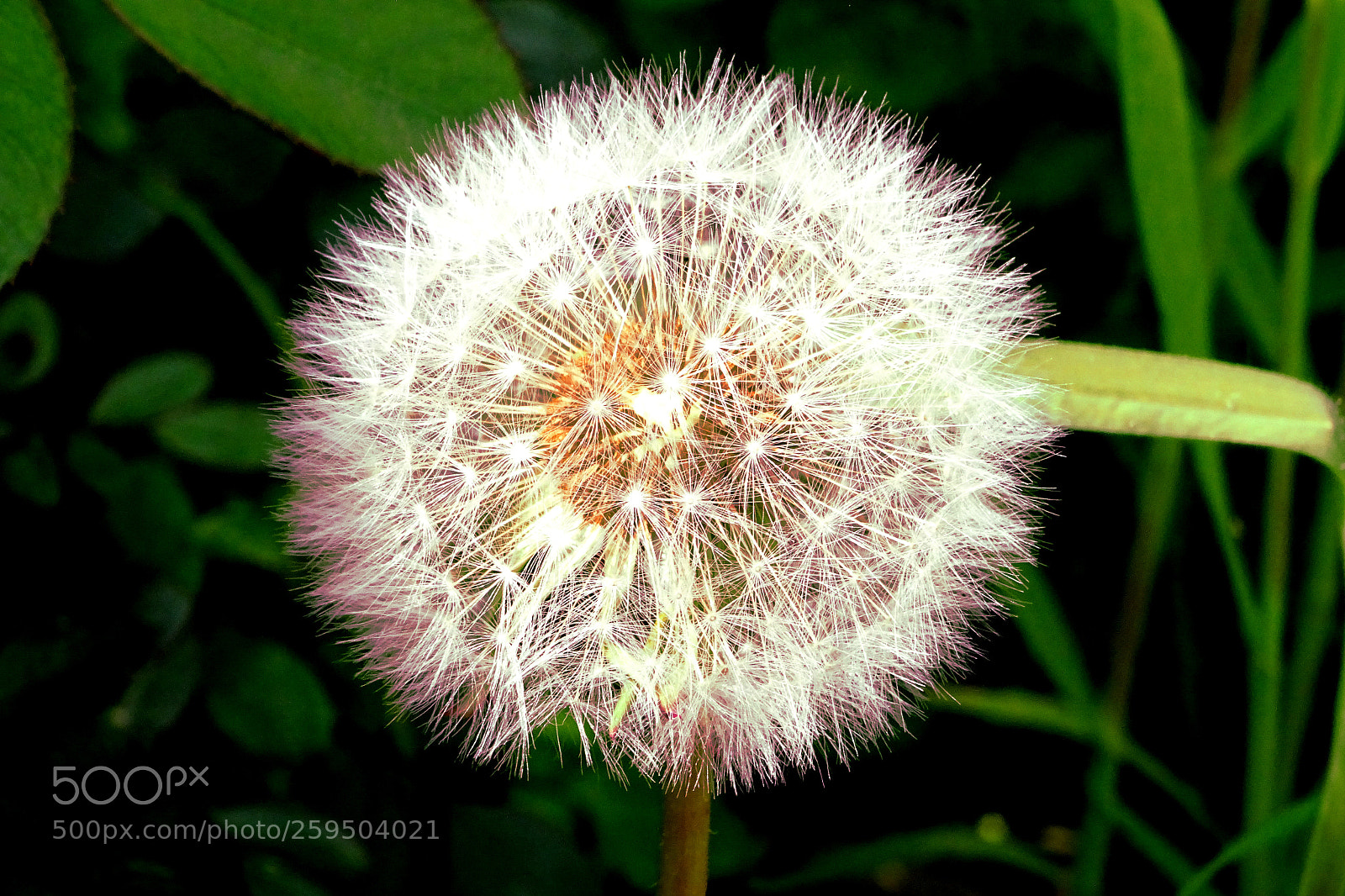 Sony DSC-HX60 sample photo. Test photography