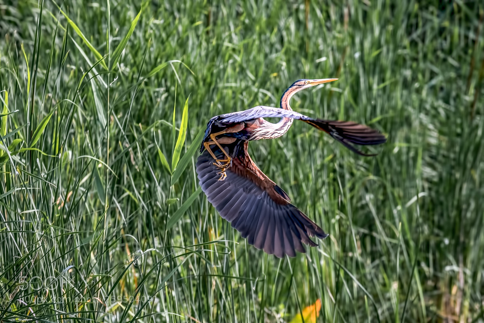 Canon EOS 7D Mark II sample photo. Gear up photography
